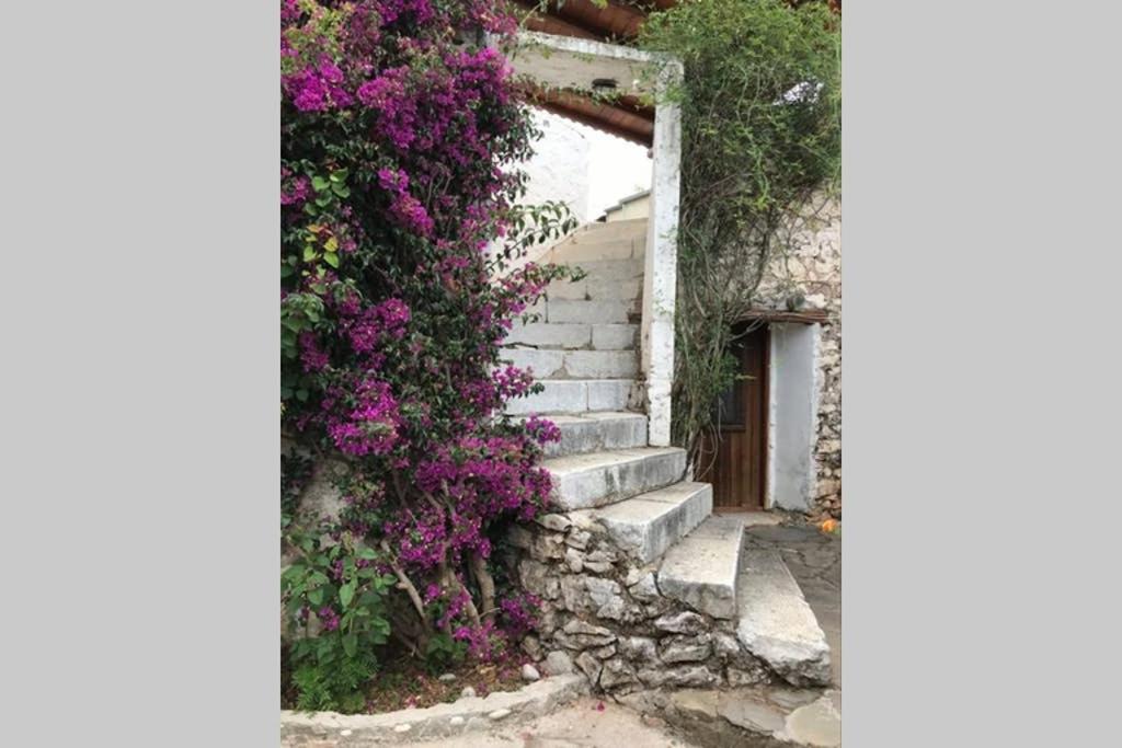 Traditional Stone House In Eastern Mani Flomochori Exterior photo